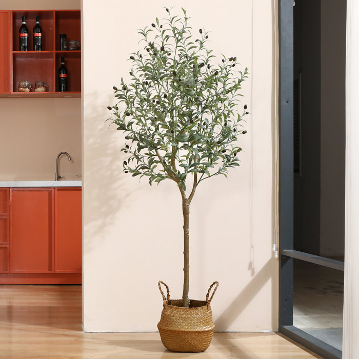 Primrue Adcock Faux Olive Tree Plant In Rattan Basket Reviews Wayfair